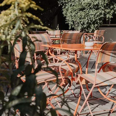 酒店 马特雷公园酒店 4*