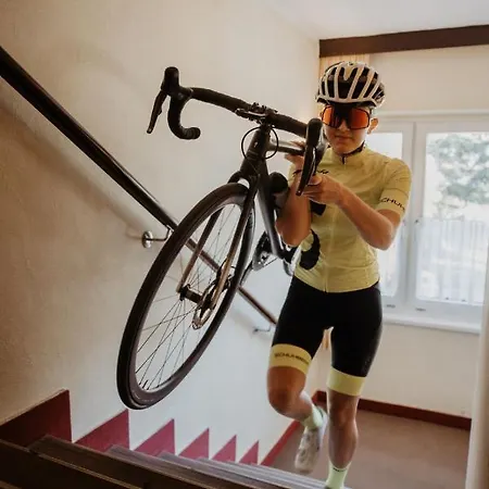 Parkhotel Matrei فندق ماتري ام برينر